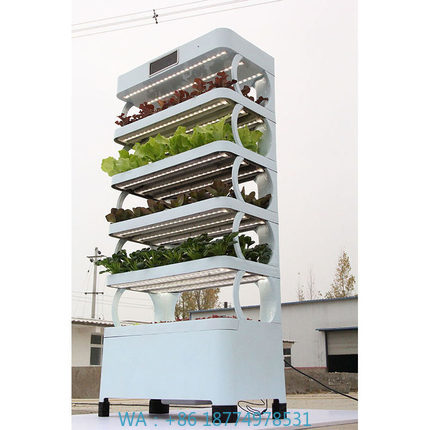Smart Home Diy - ระบบปลูกพืชไฮโดรโปนิกส์ในบ้านแบบอัตโนมัติ รุ่นใหม่ล่าสุด สวนอัจฉริยะในร่ม ระบบปลูกพืชไฮโดรโปนิกส์แนวตั้งอัจฉริยะ